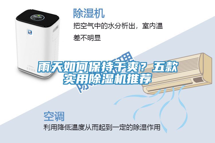 雨天如何保持干爽？五款實(shí)用除濕機(jī)推薦