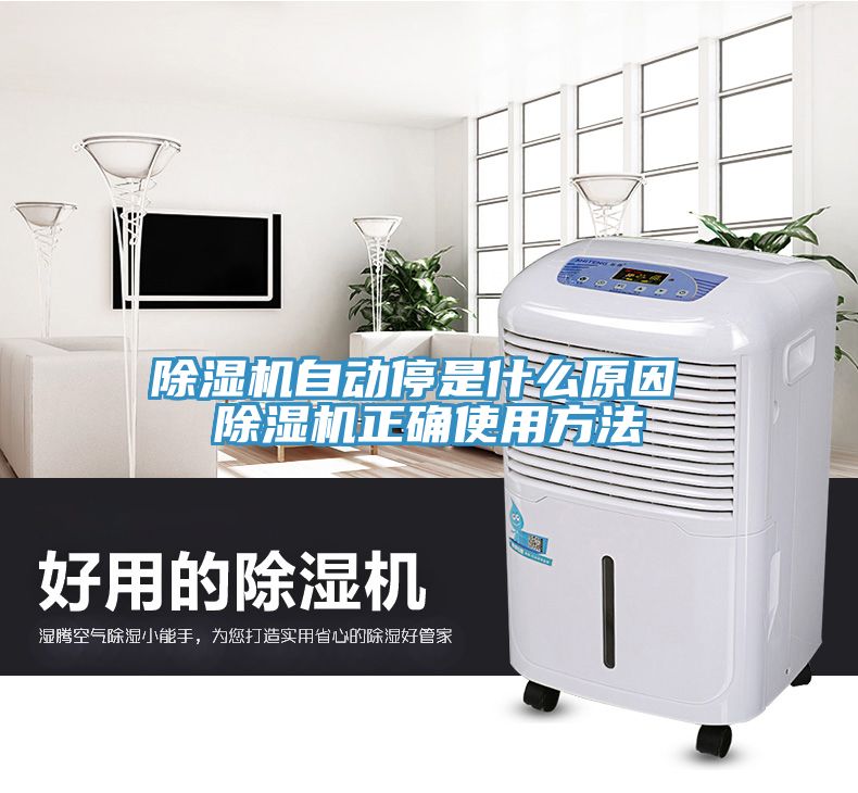 除濕機(jī)自動停是什么原因 除濕機(jī)正確使用方法