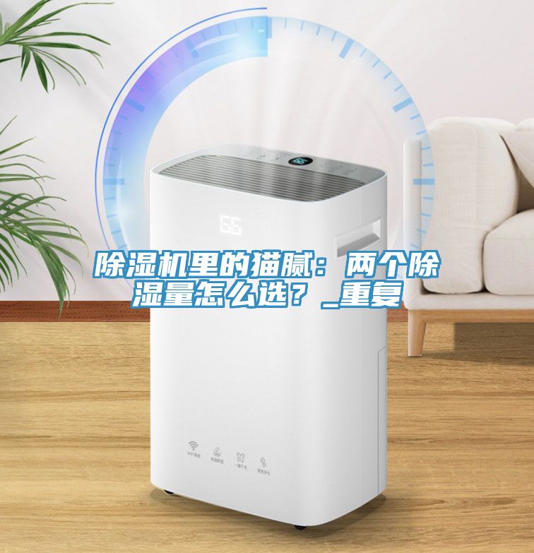 除濕機(jī)里的貓膩：兩個除濕量怎么選？_重復(fù)