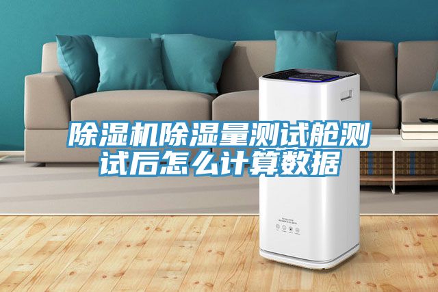 除濕機(jī)除濕量測試艙測試后怎么計算數(shù)據(jù)