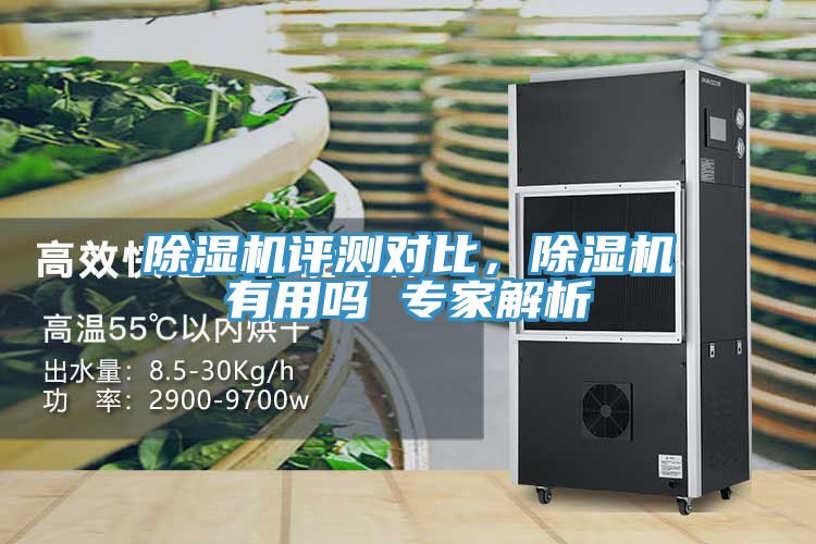 除濕機評測對比，除濕機有用嗎 專家解析