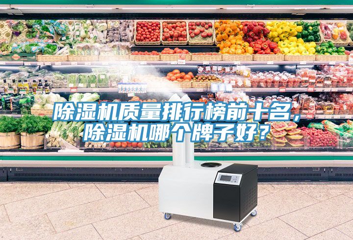 除濕機質量排行榜前十名，除濕機哪個牌子好？