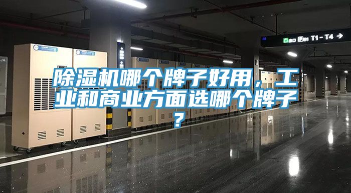 除濕機(jī)哪個(gè)牌子好用，工業(yè)和商業(yè)方面選哪個(gè)牌子？