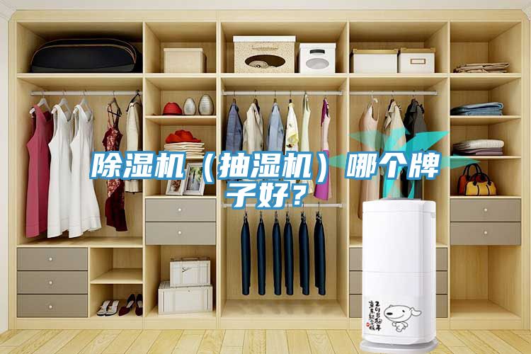 除濕機(jī)（抽濕機(jī)）哪個牌子好？
