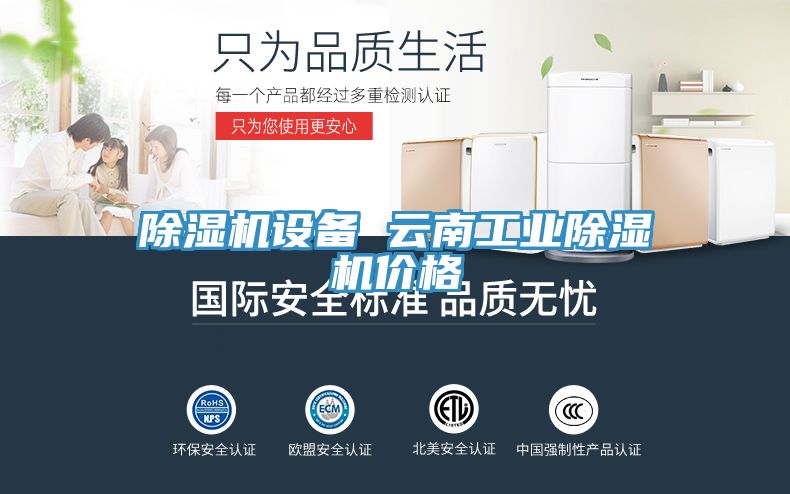 除濕機(jī)設(shè)備 云南工業(yè)除濕機(jī)價格