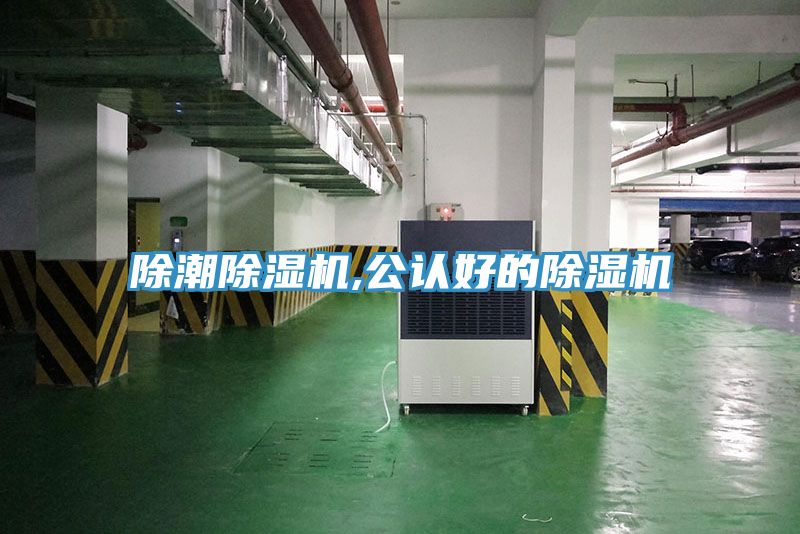 除潮除濕機,公認(rèn)好的除濕機