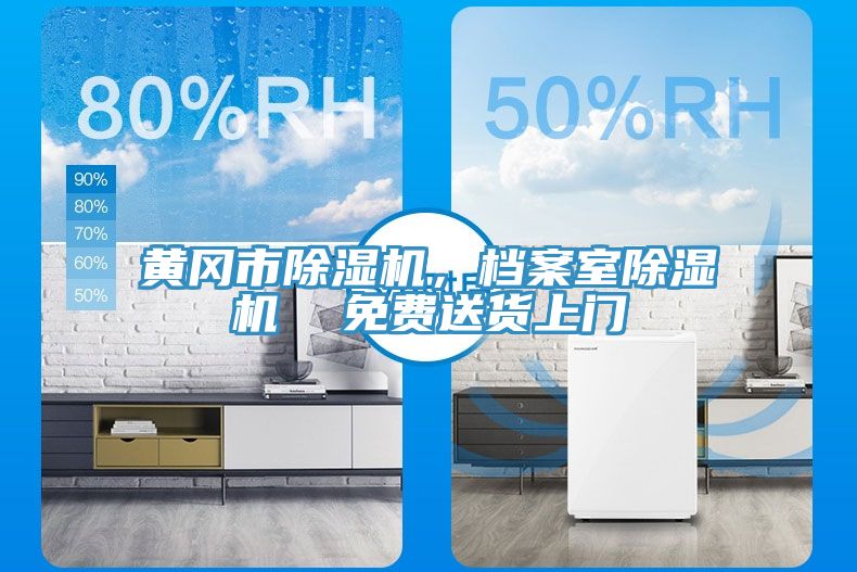 黃岡市除濕機，檔案室除濕機  免費送貨上門