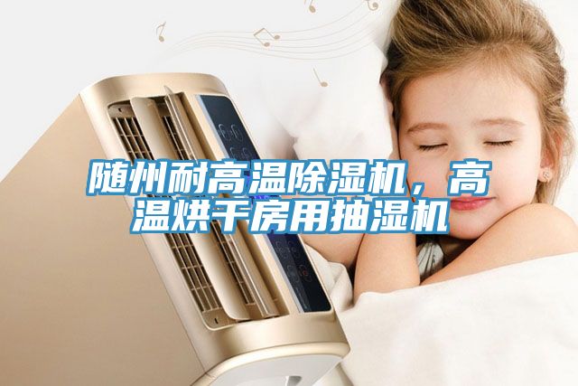 隨州耐高溫除濕機(jī)，高溫烘干房用抽濕機(jī)