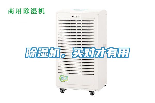 除濕機，買對才有用