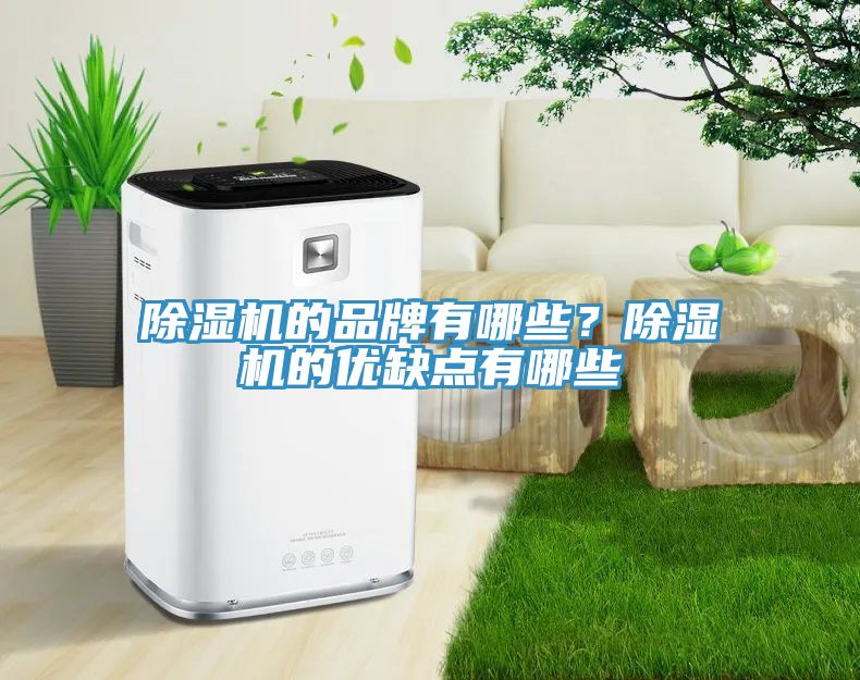 除濕機的品牌有哪些？除濕機的優(yōu)缺點有哪些