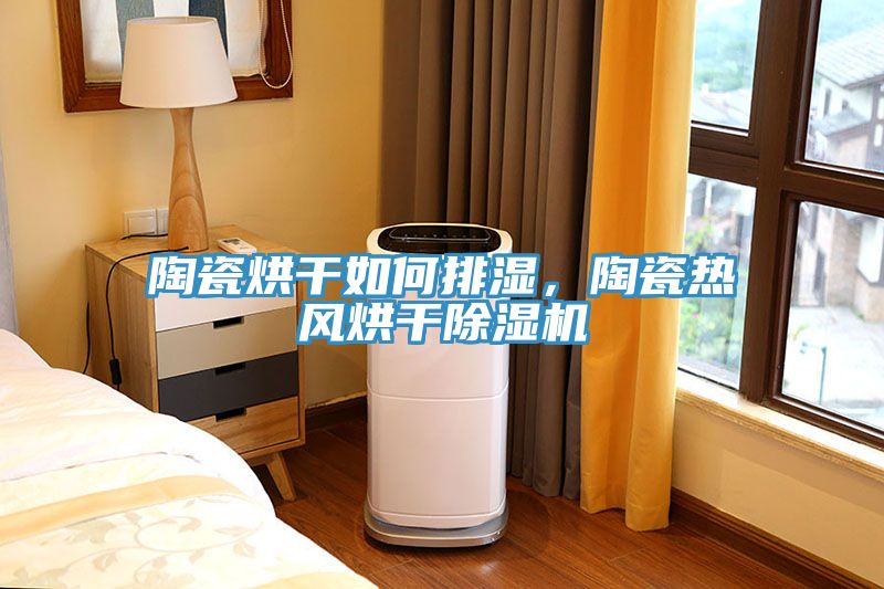 陶瓷烘干如何排濕，陶瓷熱風(fēng)烘干除濕機(jī)