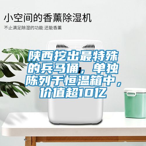 陜西挖出最特殊的兵馬俑，單獨陳列于恒溫箱中，價值超10億