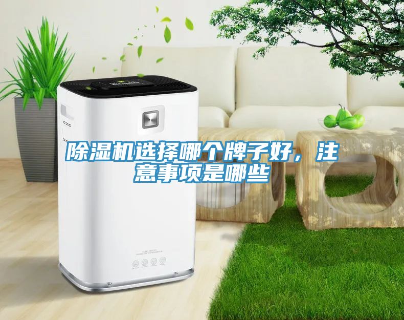 除濕機(jī)選擇哪個牌子好，注意事項(xiàng)是哪些