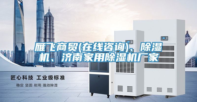 雁飛商貿(mào)(在線咨詢)、除濕機、濟南家用除濕機廠家