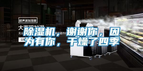 除濕機，謝謝你，因為有你，干燥了四季