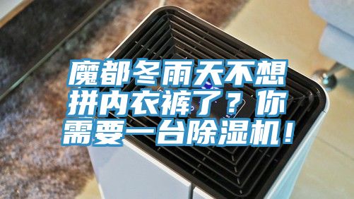 魔都冬雨天不想拼內(nèi)衣褲了？你需要一臺除濕機(jī)！