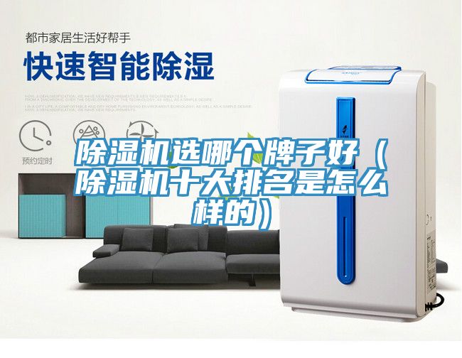 除濕機(jī)選哪個牌子好（除濕機(jī)十大排名是怎么樣的）