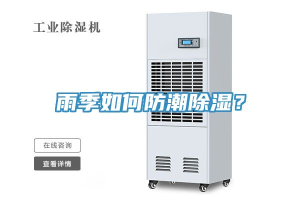 雨季如何防潮除濕？