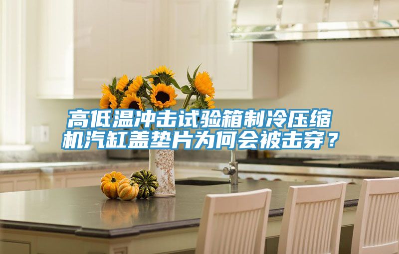 高低溫沖擊試驗(yàn)箱制冷壓縮機(jī)汽缸蓋墊片為何會(huì)被擊穿？