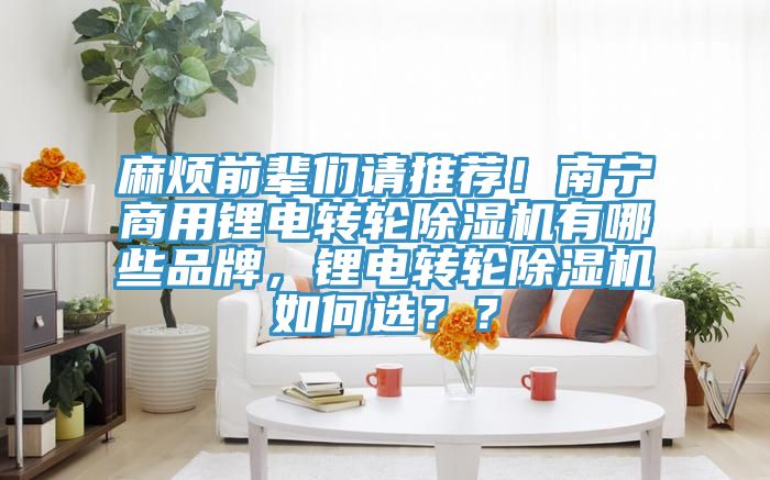 麻煩前輩們請推薦！南寧商用鋰電轉輪除濕機有哪些品牌，鋰電轉輪除濕機如何選？？