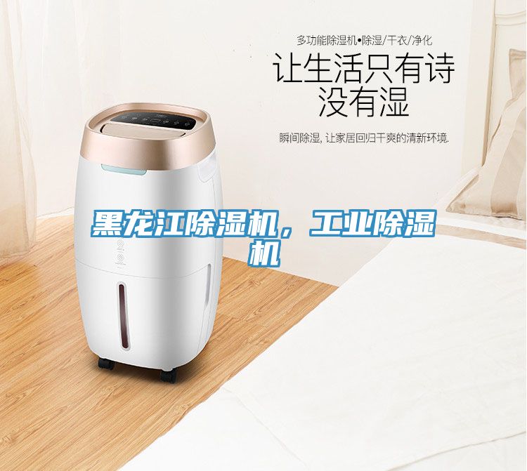 黑龍江除濕機，工業(yè)除濕機