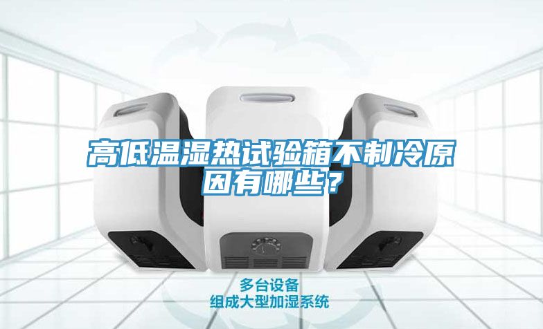 高低溫濕熱試驗(yàn)箱不制冷原因有哪些？