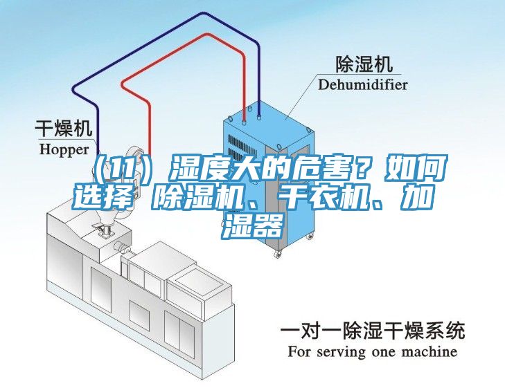 （11）濕度大的危害？如何選擇 除濕機(jī)、干衣機(jī)、加濕器