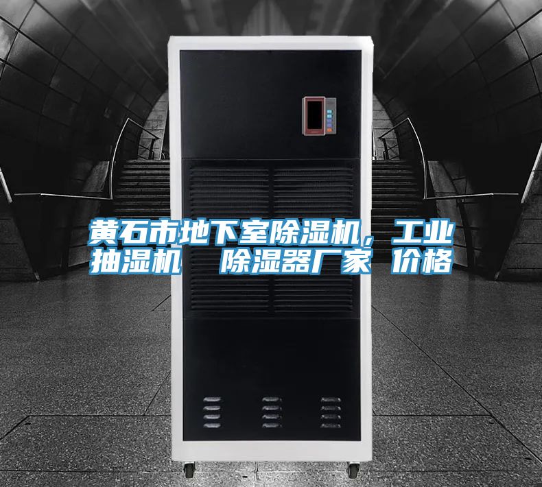 黃石市地下室除濕機(jī)，工業(yè)抽濕機(jī)  除濕器廠家 價(jià)格