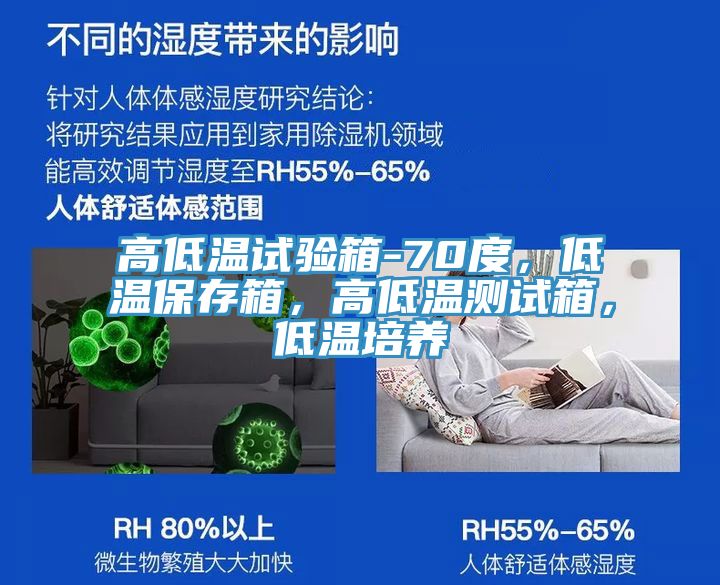 高低溫試驗箱-70度，低溫保存箱，高低溫測試箱，低溫培養(yǎng)