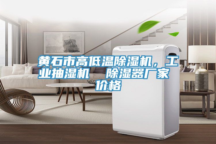 黃石市高低溫除濕機，工業(yè)抽濕機  除濕器廠家 價格