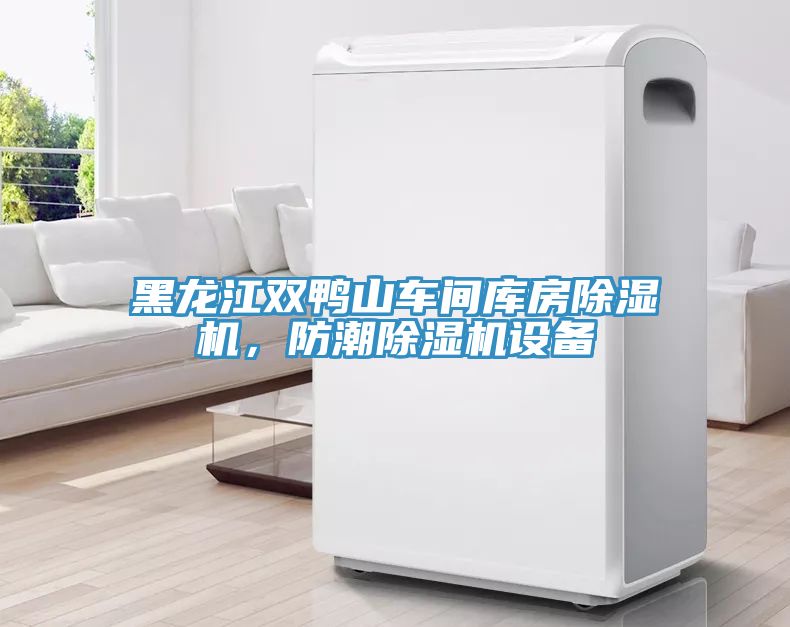 黑龍江雙鴨山車間庫房除濕機，防潮除濕機設(shè)備