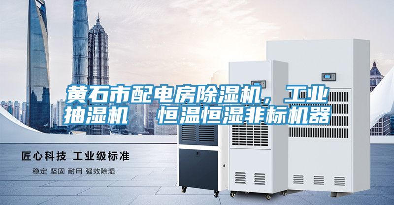 黃石市配電房除濕機，工業(yè)抽濕機  恒溫恒濕非標機器