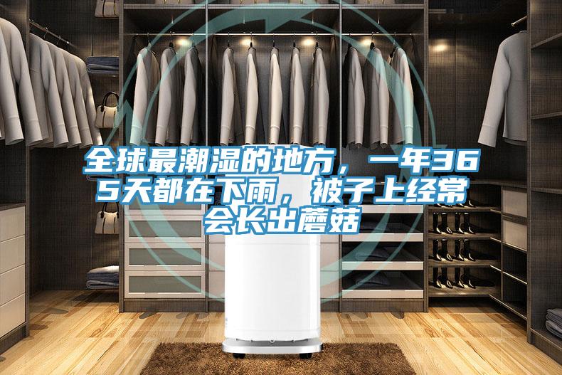 全球最潮濕的地方，一年365天都在下雨，被子上經(jīng)常會長出蘑菇