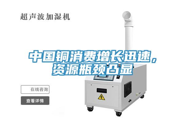 中國銅消費增長迅速，資源瓶頸凸顯