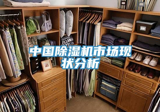 中國除濕機(jī)市場現(xiàn)狀分析