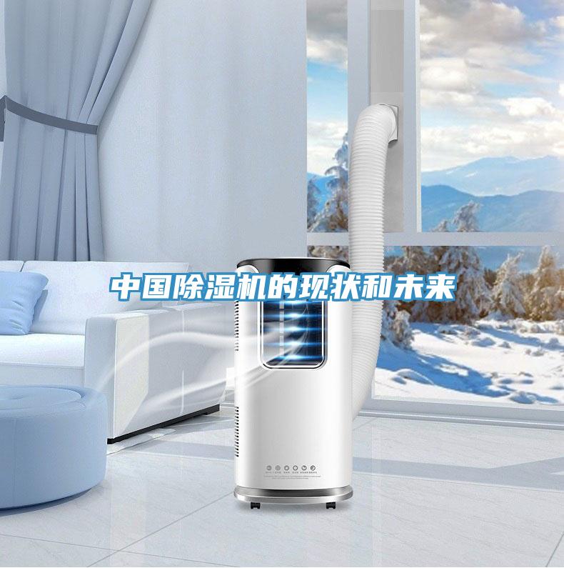 中國(guó)除濕機(jī)的現(xiàn)狀和未來