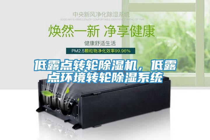 低露點(diǎn)轉(zhuǎn)輪除濕機(jī)，低露點(diǎn)環(huán)境轉(zhuǎn)輪除濕系統(tǒng)