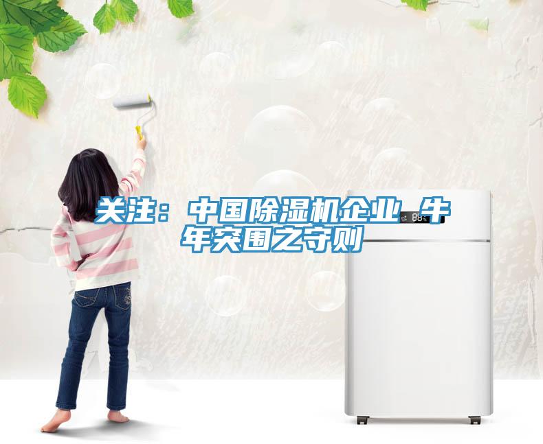 關(guān)注：中國除濕機企業(yè) 牛年突圍之守則