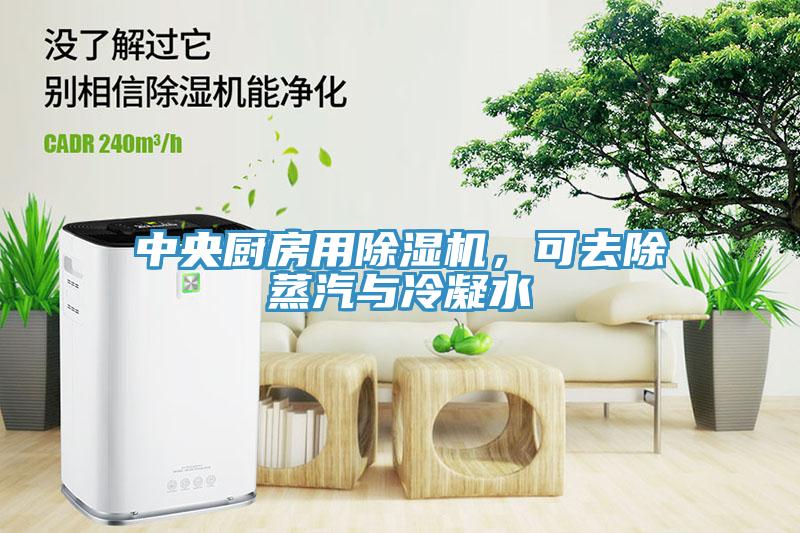 中央廚房用除濕機(jī)，可去除蒸汽與冷凝水