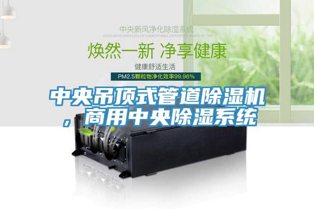 中央吊頂式管道除濕機(jī)，商用中央除濕系統(tǒng)