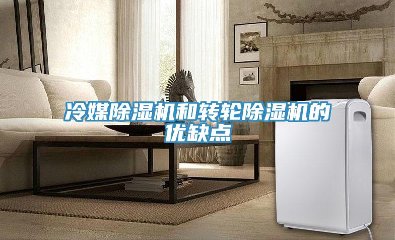 冷媒除濕機和轉(zhuǎn)輪除濕機的優(yōu)缺點