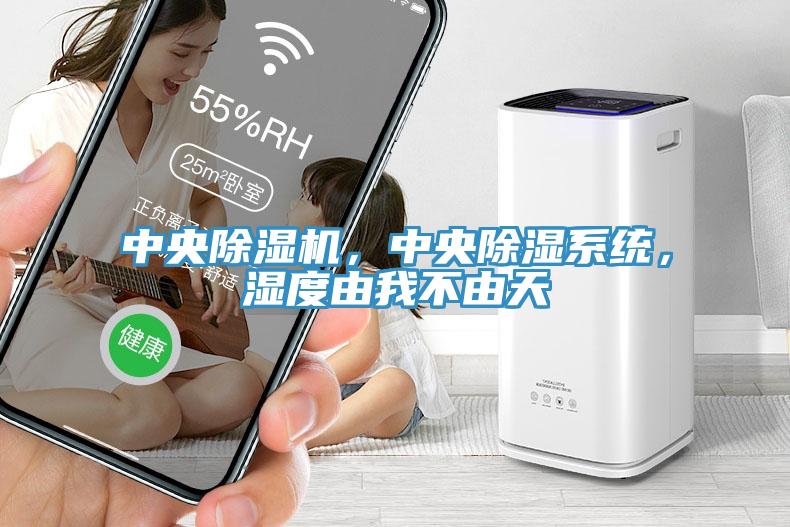 中央除濕機(jī)，中央除濕系統(tǒng)，濕度由我不由天