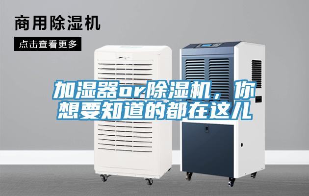 加濕器or除濕機，你想要知道的都在這兒