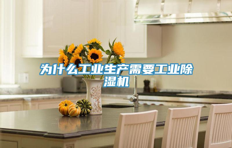 為什么工業(yè)生產(chǎn)需要工業(yè)除濕機