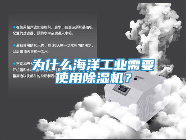 為什么海洋工業(yè)需要使用除濕機？