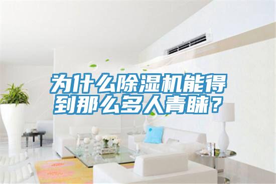 為什么除濕機能得到那么多人青睞？