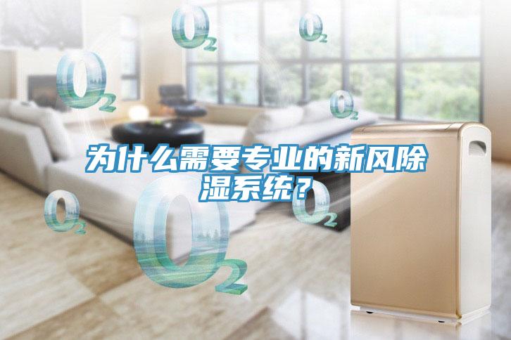 為什么需要專業(yè)的新風除濕系統(tǒng)？