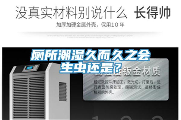 廁所潮濕久而久之會(huì)生蟲(chóng)還是？