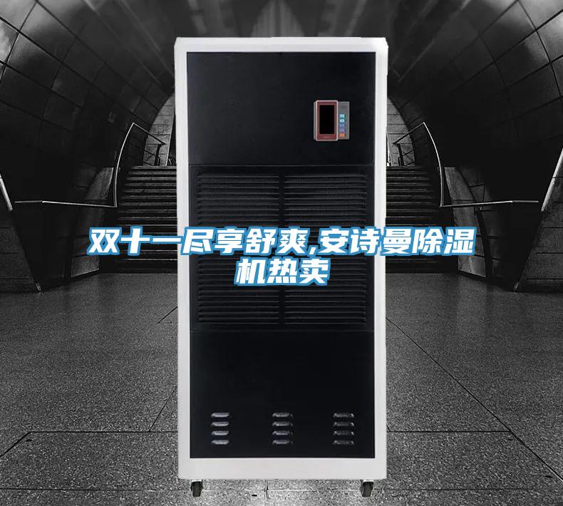 雙十一盡享舒爽,安詩(shī)曼除濕機(jī)熱賣(mài)