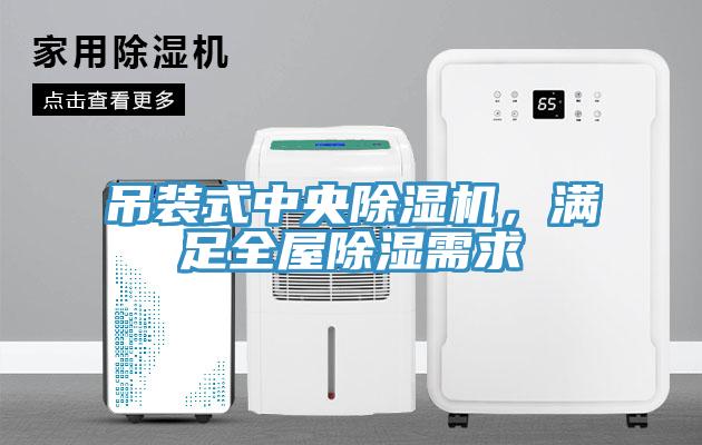 吊裝式中央除濕機(jī)，滿足全屋除濕需求